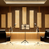 Premium Acoustic Wall Panels – Decorative Sound-Absorbing Slat Panels